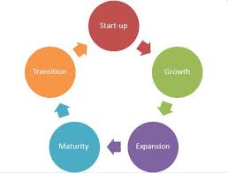 business cycle